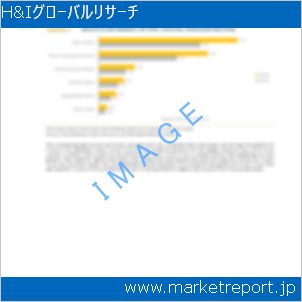 市場と産業調査レポートのイメージ